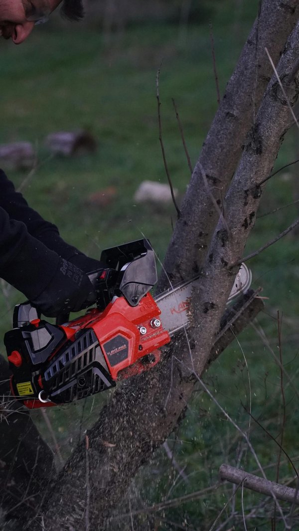Élagage arbre à annecy : expert en soins de vos végétaux